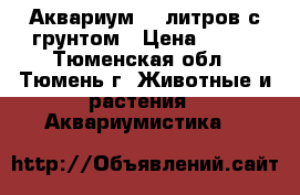 Аквариум 35 литров с грунтом › Цена ­ 900 - Тюменская обл., Тюмень г. Животные и растения » Аквариумистика   